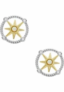 Fossil Oorbellen - Bicolor